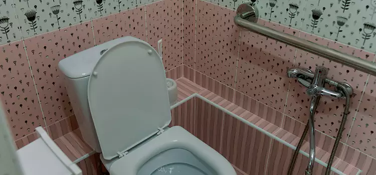 Meeting Diverse Needs With Accessible Restroom Solutions in San Francisco, CA